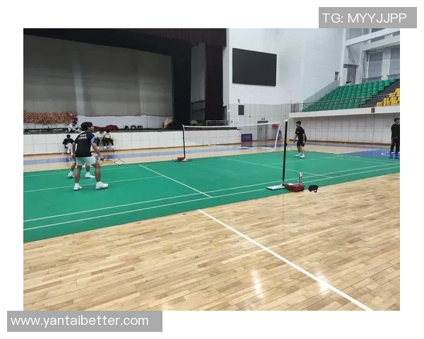 从零基础到高手之路羽毛球技术全方位提升指南