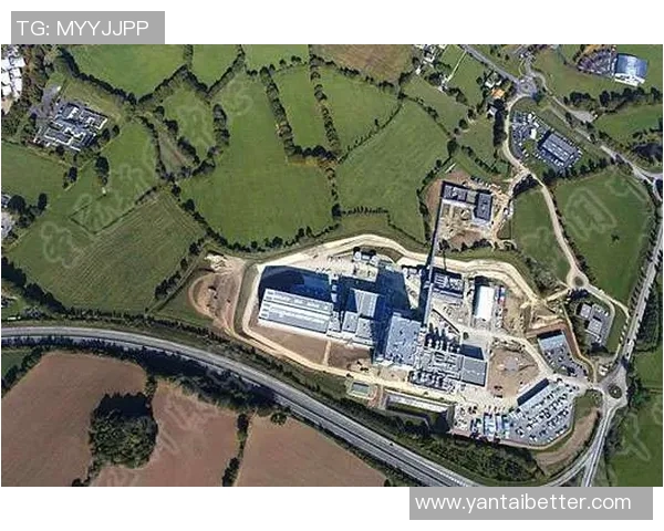 全球足球明星转会动态全景盘点与市场趋势分析