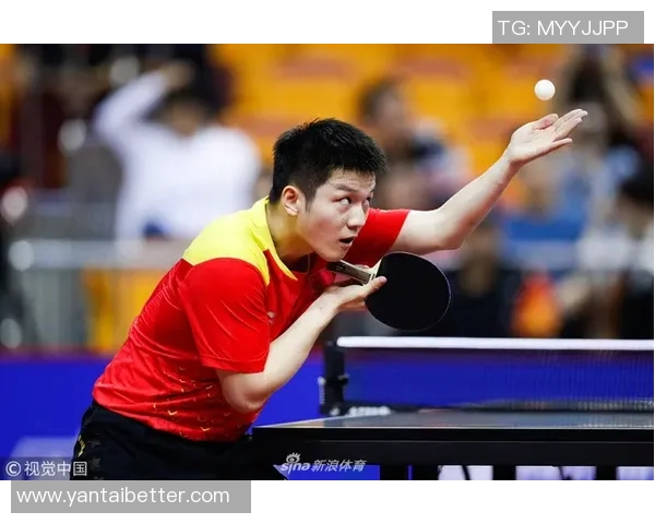 南京乒乓球队速度领跑最新乒乓球TOP10榜单分析与展望
