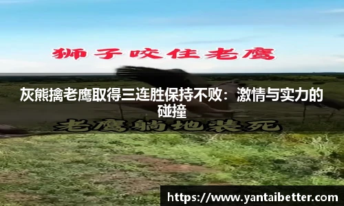灰熊擒老鹰取得三连胜保持不败：激情与实力的碰撞